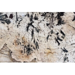 Đá Granite Phoniex White 2